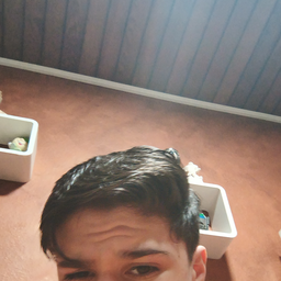 Butch