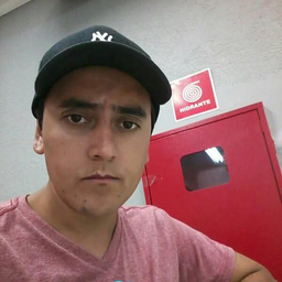 Bruno Ribeiro